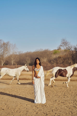 Amer Pre Draped Saree
